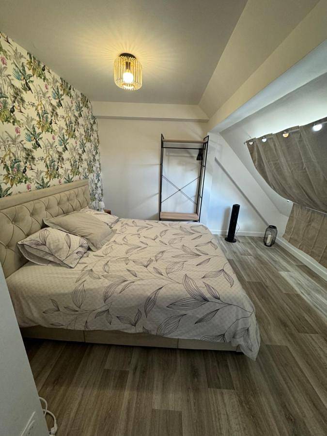 Gîte pour 5 personnes, avec jardin, animaux acceptés dans Rombas - 2