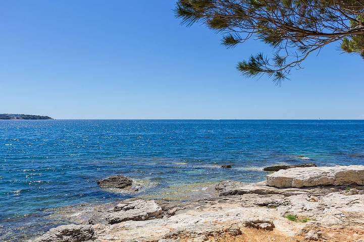 Appartamento vacanze per 2 persone, con giardino, con animali domestici - 1