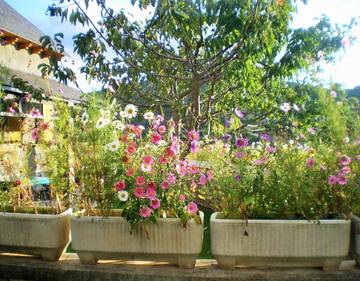 Casa De Vacaciones para 5 Personas en Castiello de Jaca, Pirineo Aragonés, Foto 3
