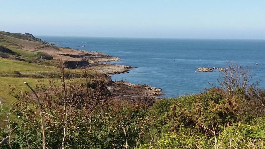 Hôtel pour 3 personnes, avec terrasse et vue à Omonville-la-Rogue - 4