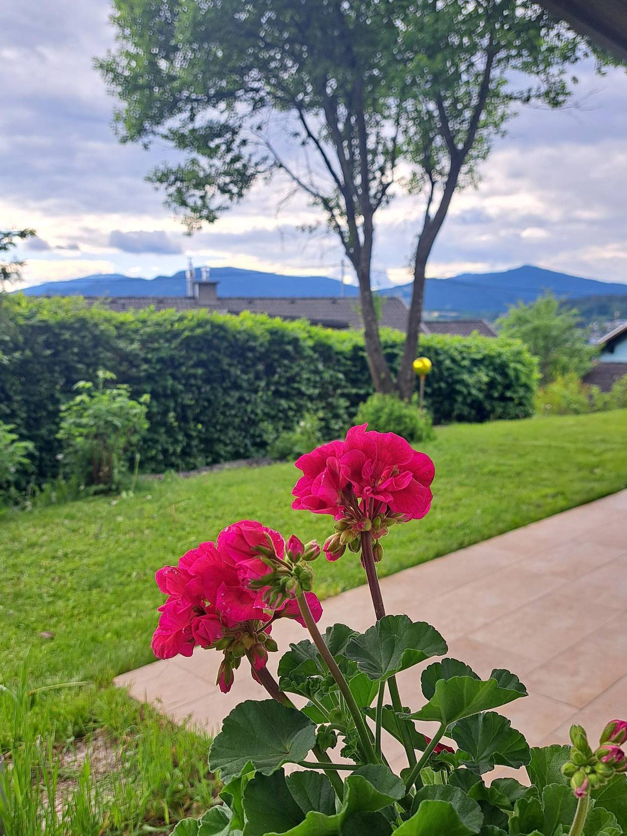 Ganze Ferienwohnung, Ferienoase Berg & See in Feldkirchen in Kärnten, Bezirk Feldkirchen