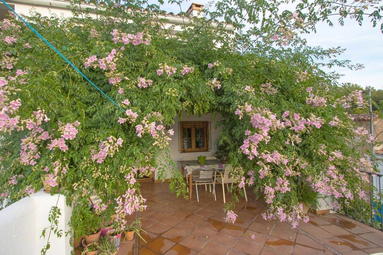 Three-Bedroom House in Los Romeros, Jabugo