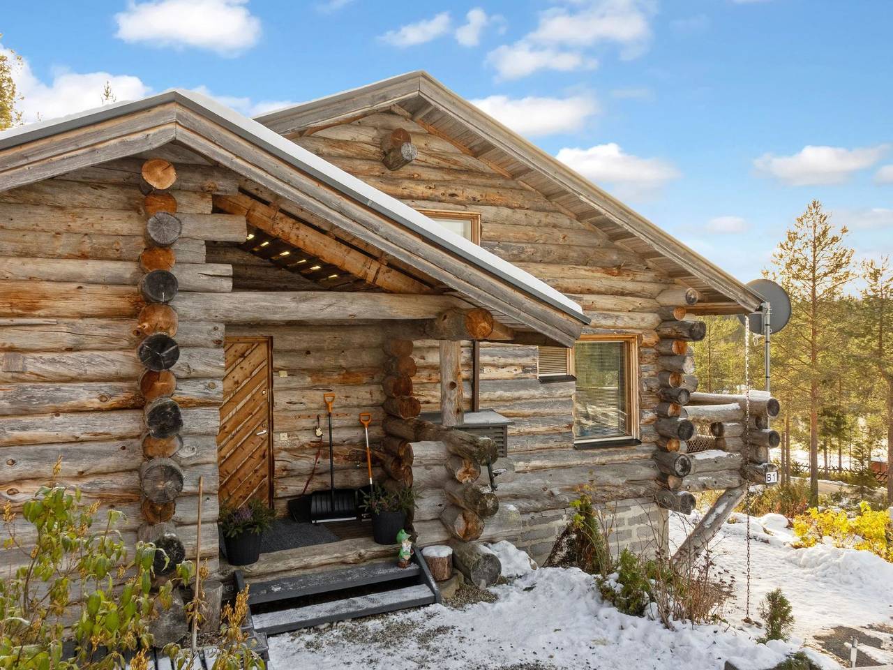 Sallanhelmi b1 in Sallatunturi, Lappland