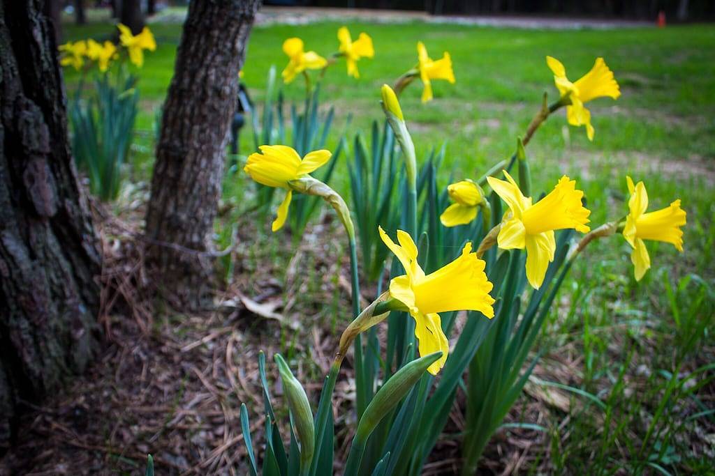 Lake Texoma wooded retreat near Marina Del Rey in Lake Texoma