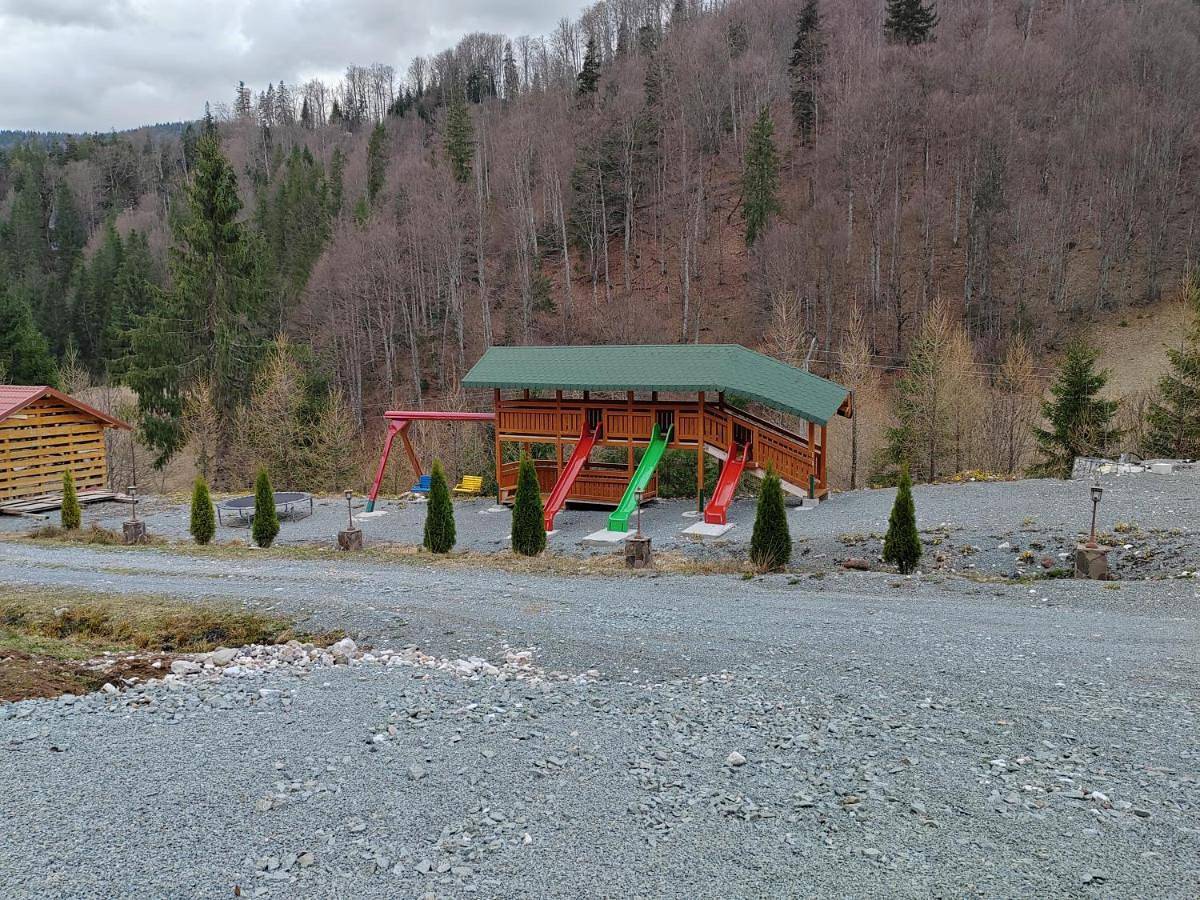 Pensiunea Izbucul Tauz in Alba (Romania)