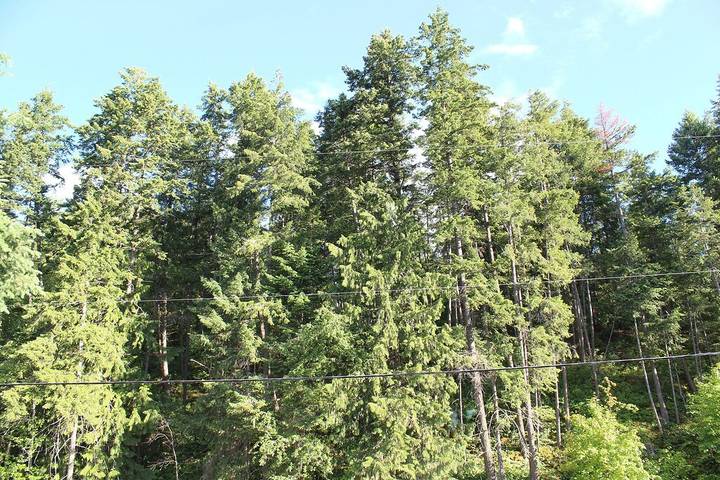 Maison d’hôte pour 2 personnes, avec jardin dans Canada - 4