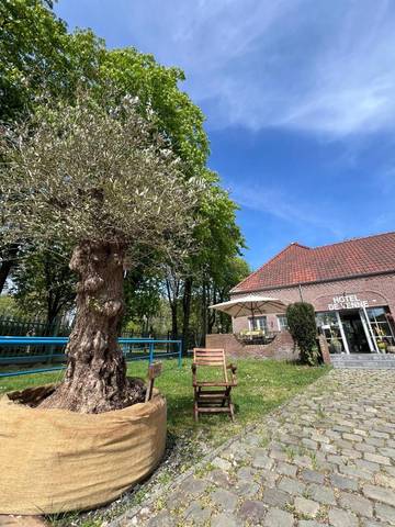Hôtel pour 4 personnes, avec terrasse à Genk
