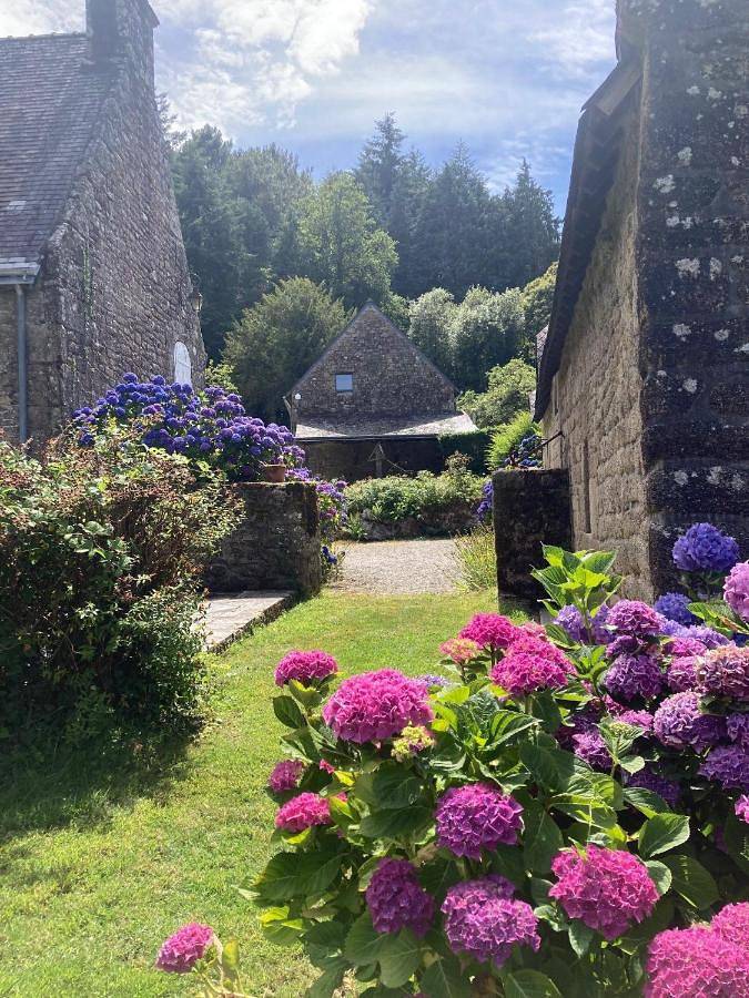 Location de vacances pour 6 personnes, avec terrasse et vue ainsi que piscine et jardin, animaux acceptés à Quistinic - 3