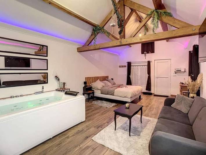 Hôtel pour 2 personnes, avec jacuzzi et jardin à Villemandeur - 4