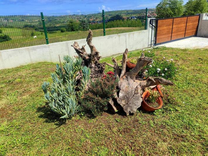 Casa rural para 10 personas, con piscina además de vistas y jardín, Se admiten mascotas en Valle de Cabuérniga - 4