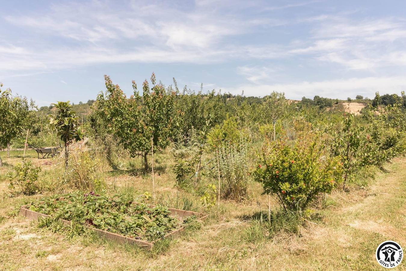 Le Panier Bio de Noé in Noé, Haute-Garonne