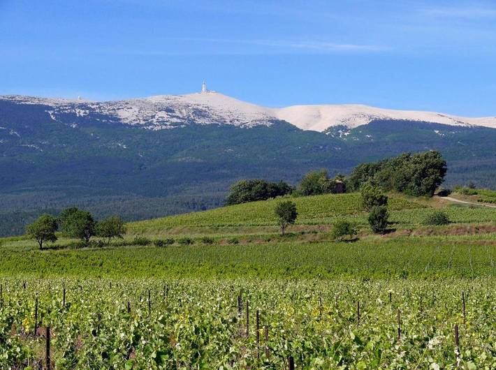 Location de vacances pour 2 personnes, avec piscine ainsi que jardin et vue à Mazan - 3