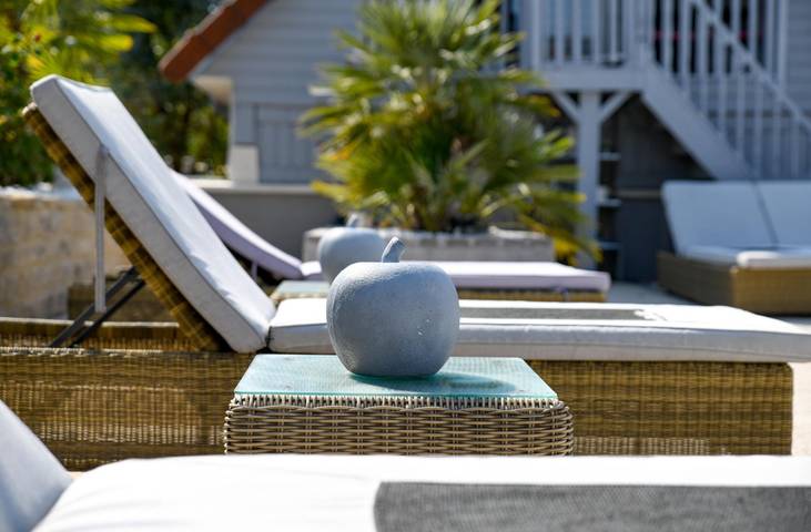 Chambre d’hôte pour 4 personnes, avec jardin et piscine dans l' Aube - 3