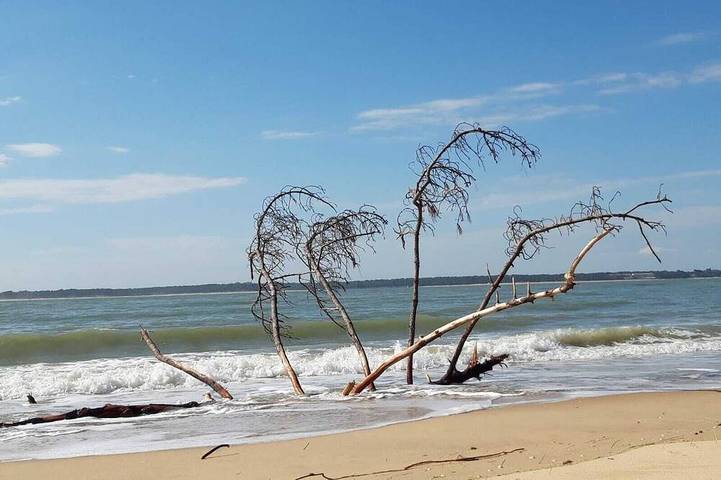 Gîte pour 2 personnes, avec jardin ainsi que terrasse et piscine à La Gripperie-Saint-Symphorien