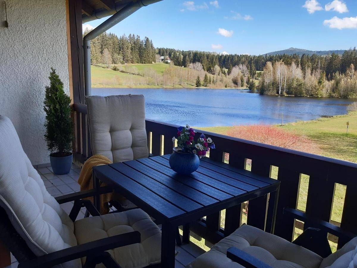 Ganze Wohnung, Ferienwohnung am See in Haidmühle, Šumava Mountains
