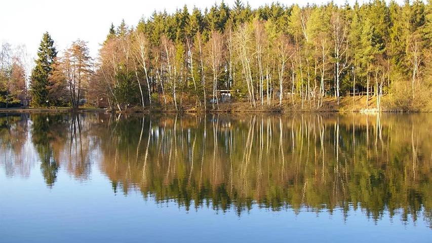 Ferienhaus für 4 Personen, mit Garten, mit Haustier im Nahetal - 2