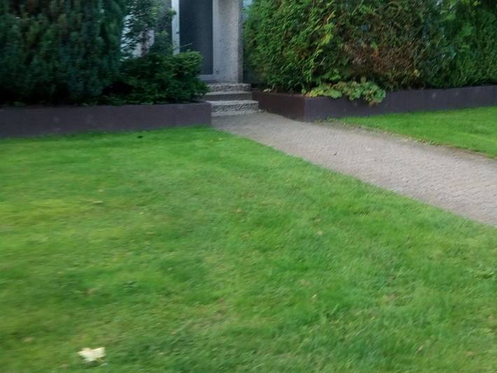 Ferienpark für 4 Personen, mit Balkon, mit Haustier in Altenau - 2