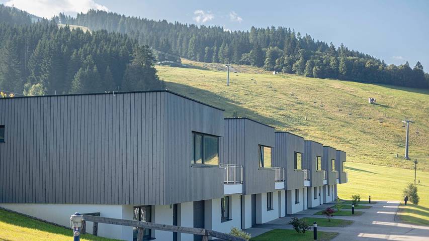 Chalet für 11 Personen, mit Terrasse und Sauna in St. Lambrecht