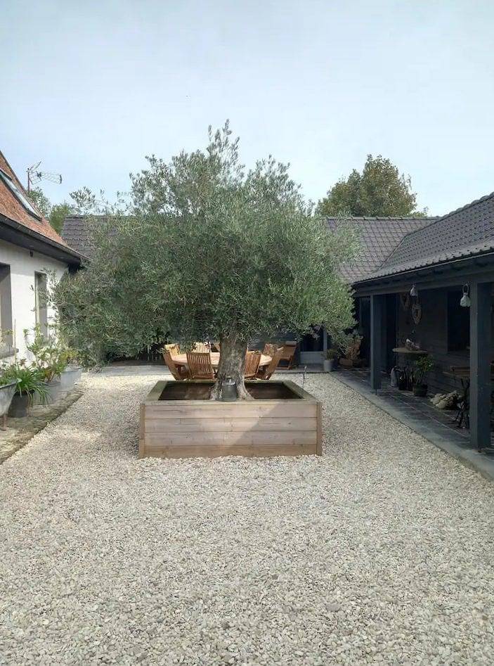 Chambre d’hôte pour 4 personnes, avec jacuzzi et sauna dans Hauts-de-France - 4