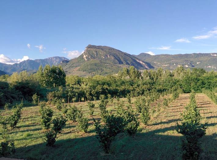 Gîte pour 2 personnes, avec jardin ainsi que terrasse et vue à Giffoni Valle Piana - 2