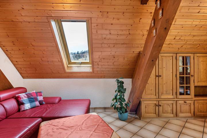 Gîte pour 6 personnes, avec jardin, animaux acceptés dans Todtnauberg - 4