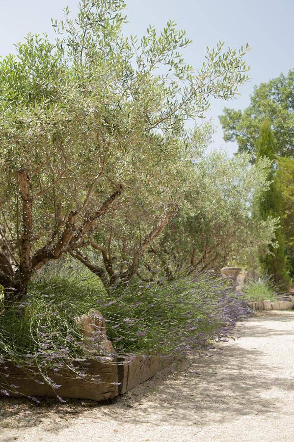 Location de vacances pour 5 personnes, avec terrasse ainsi que piscine et jardin à Paradou - 3