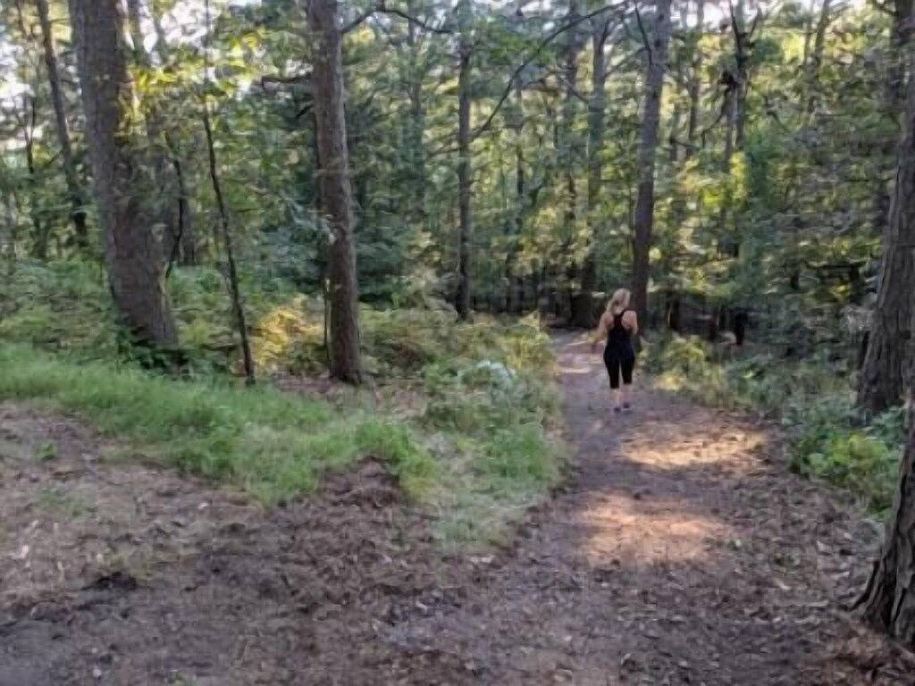 Adventure Cabin 2 with King Bed and Private Hot Tub in Eureka Springs, Carroll County (AR)