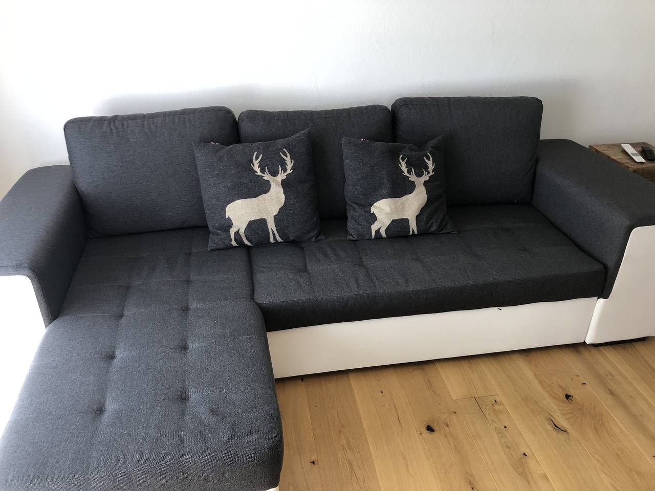 Entire holiday apartment, Renovated 3 Rooms Apartment in Ruschein near Laax in Ruschein, Alpenarena