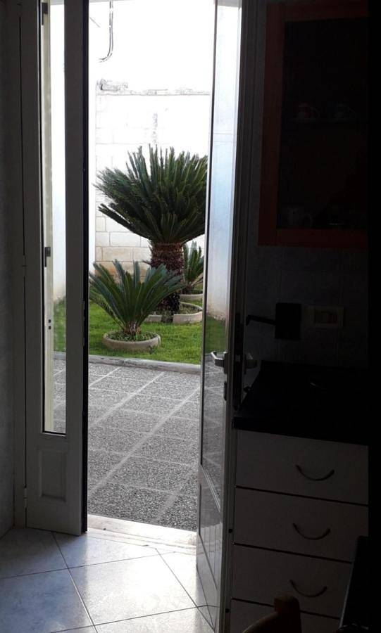 Gîte pour 5 personnes, avec jardin, animaux acceptés à Martano - 3