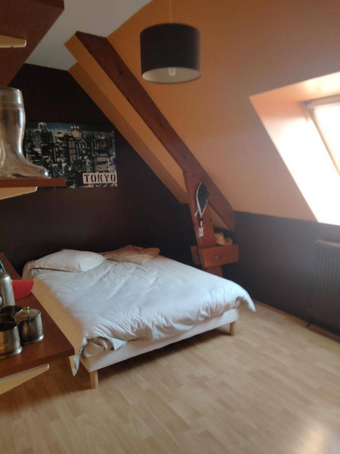 Gîte pour 8 personnes, avec jardin et vue à Teloché - 3