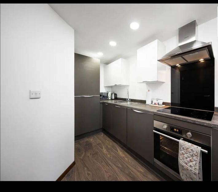 Entire apartment, Elegant 1Br Gem Near Nec & Resorts World in Birmingham, Birmingham Area