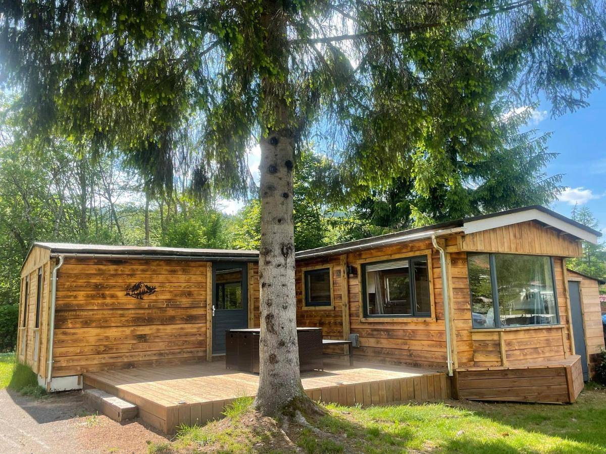 Chalet 9 personnes, piscine, terrasse in Saint-Maurice-sur-Moselle, Épinal en omgeving