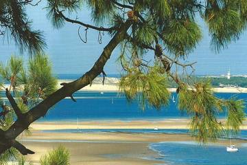 Villa pour 6 personnes, avec terrasse et jardin sur la Dune du Pilat
