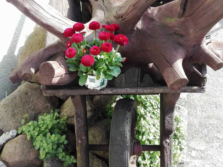 Bungalow für 2 Personen, mit Terrasse und Garten, kinderfreundlich in Rostock - 2