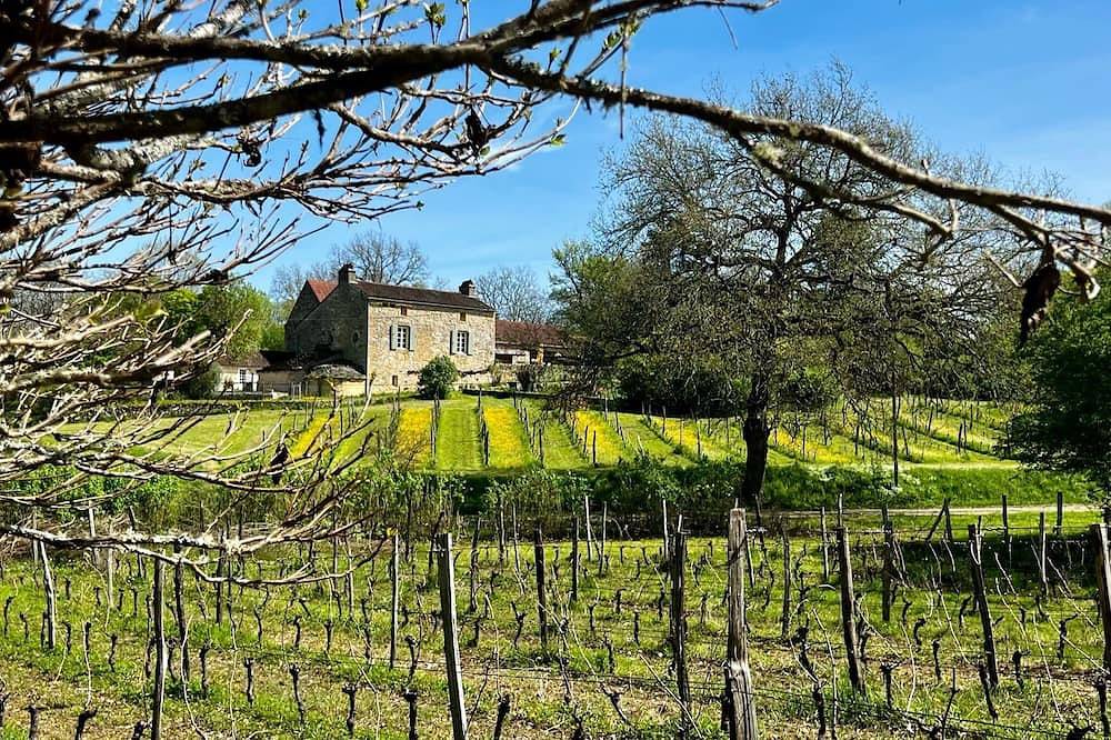 Romantische wijnboerderij met zwembad, buitenkeuken en pizza-oven. in Veyrines-de-Domme, Périgord Noir