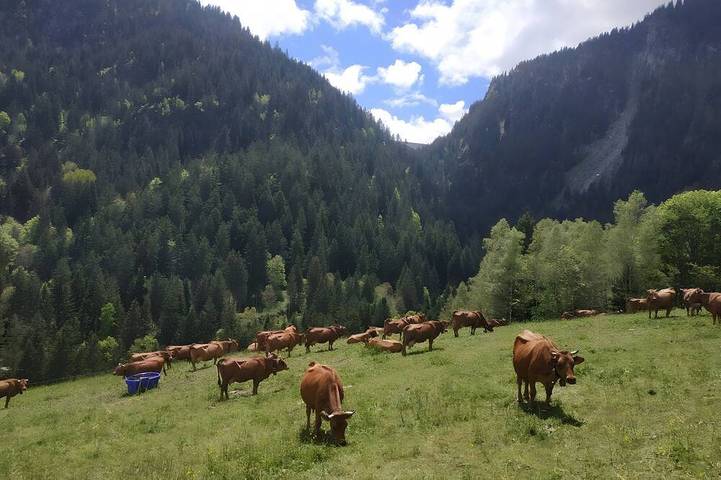 Location de vacances pour 2 personnes, avec jardin dans Lac de Roselend - 4