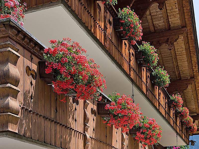 Apartamento vacacional entero, Zwygarten in Grindelwald in Grindelwald, Región de Grindelwald