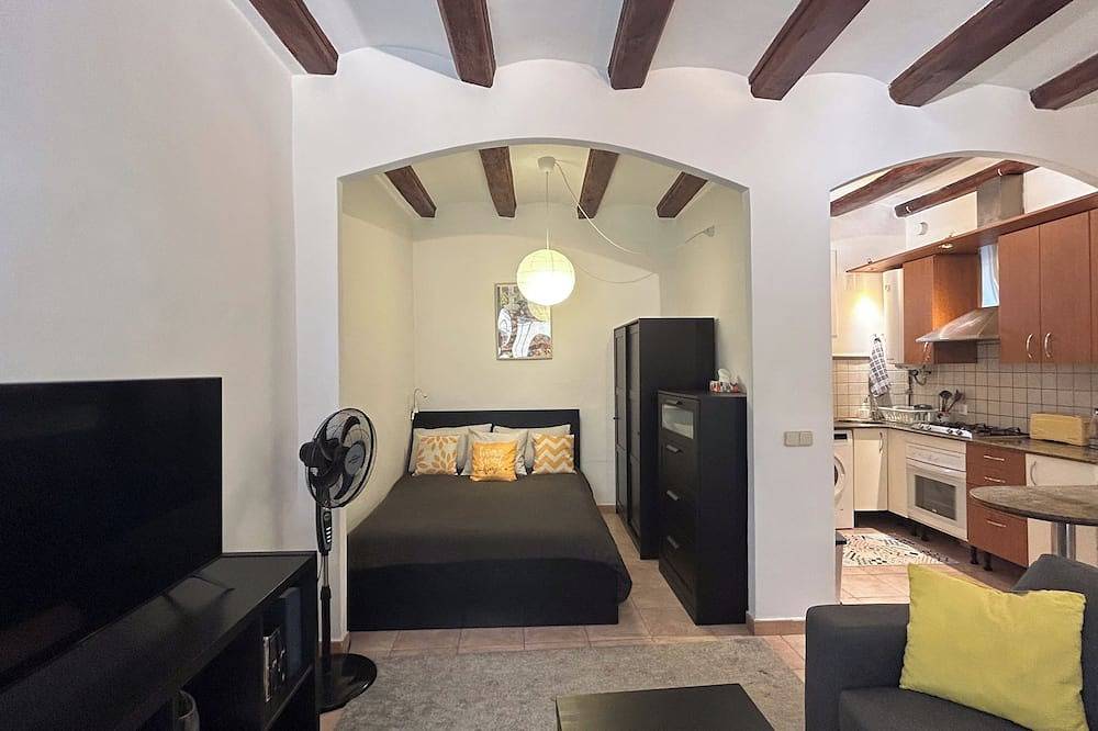 Spacious 1850 Raval 46m Loft. Ideal for Couples and Digital Nomads. Pet-Friendly in Barcelona Centre, Barcelone