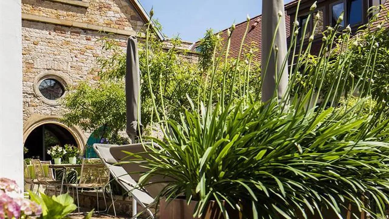 Ganze Ferienwohnung, Ferienwohnung für 2 Personen (55 m²) in Neustadt in Neustadt an der Weinstraße, Pfälzer Rheinebene