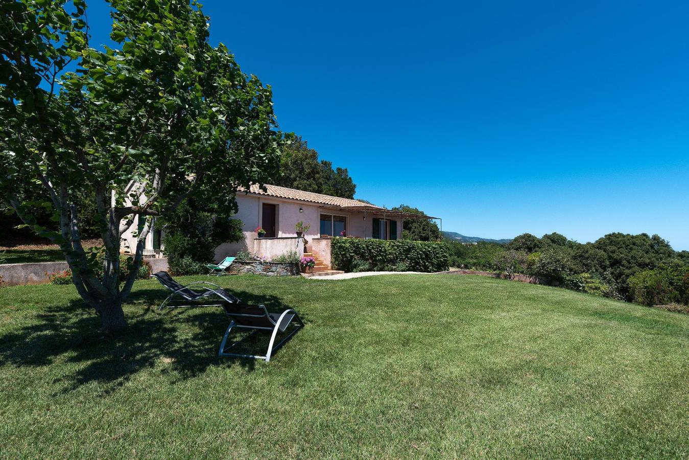 Domaine Punta della Guardia Calme et belvedere in Cervione, Région de Corte