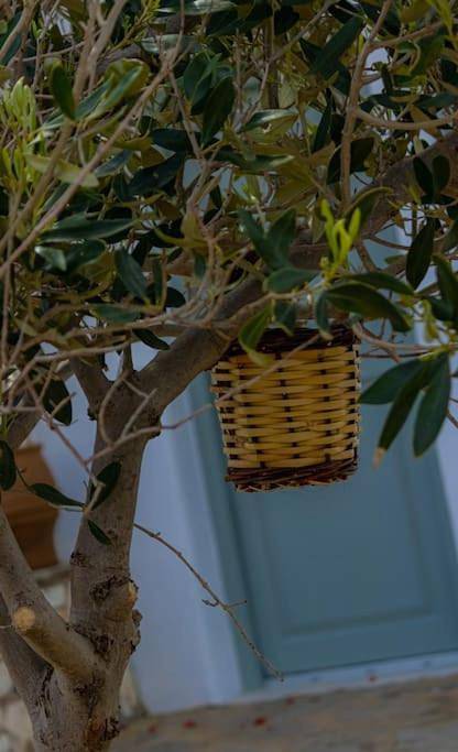 Appartement entier, Martha's filoxenia in Paros