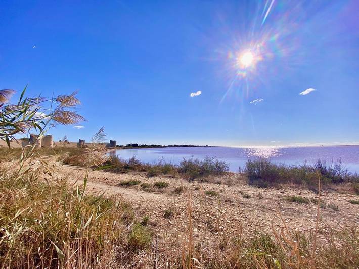 Location de vacances pour 4 personnes, avec vue et terrasse dans Office de Tourisme d'Aigues-Mortes en Terre de Camargue - 4