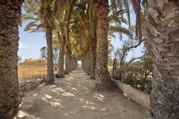 Strandhaus für 6 Personen, mit Garten, kinderfreundlich in Portugal - 4