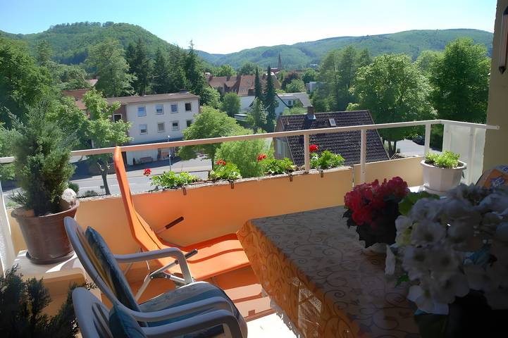Studio für 2 Personen, mit Balkon, mit Haustier in Bad Harzburg - 2