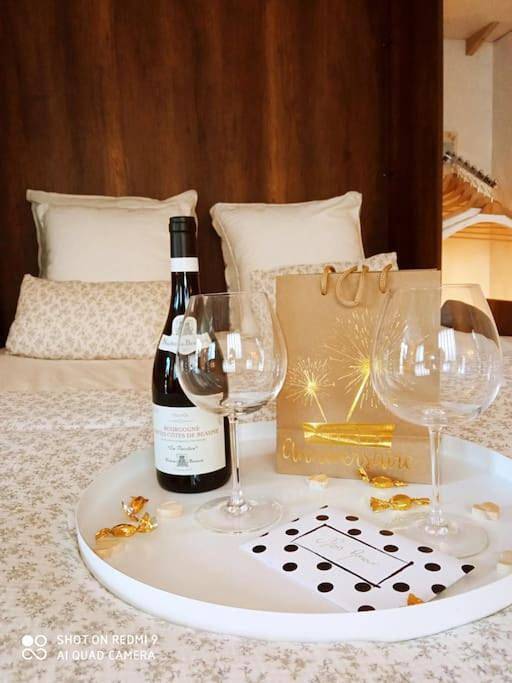 Gîte pour 2 personnes, avec jacuzzi et jardin à Beaune - 4