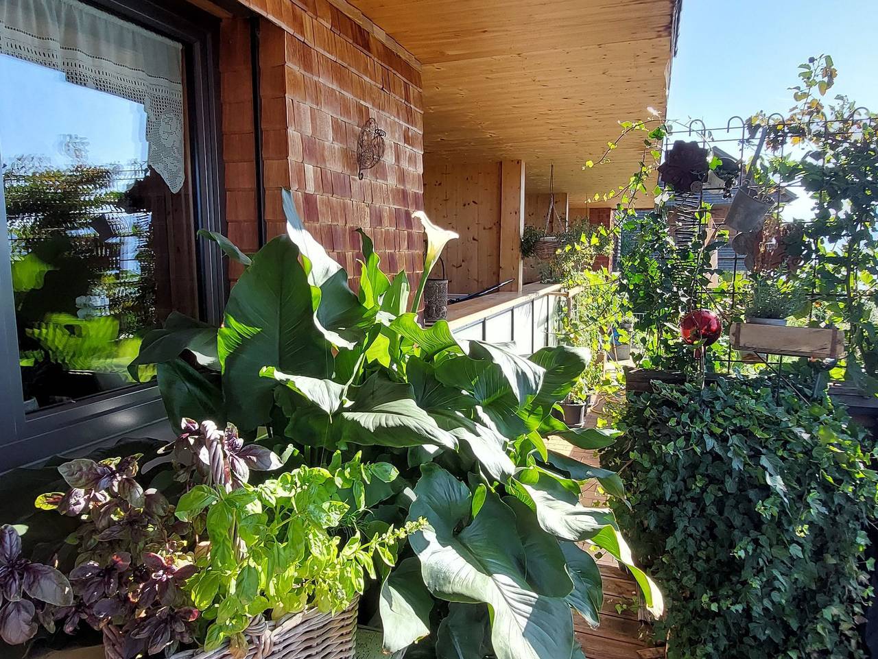 Ganze Ferienwohnung, Ferienwohnung Panorama - neue Ferienwohnung in Sulzberg (Österreich), Bodensee-Vorarlberg