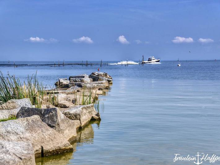 Ganze Ferienwohnung, Ferienwohnung Küstenliebe in Ueckermünde, Vorpommern Greifswald