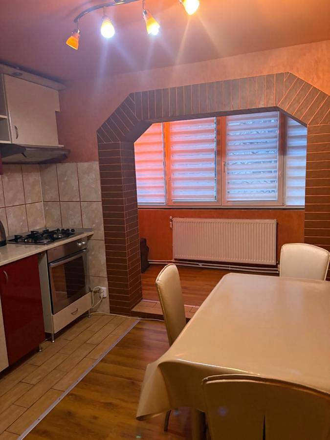 Gîte pour 5 personnes, avec balcon, animaux acceptés dans Baia Mare - 4