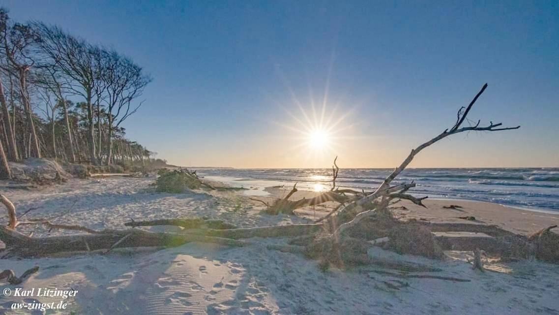 Pension Linde Prerow in Prerow, Fischland - Darß - Zingst