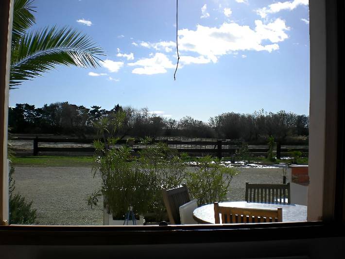 Gîte pour 4 personnes, avec jardin, animaux acceptés à Saintes-Maries-de-la-Mer - 2
